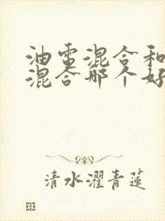 油电混合和插电混合哪个好