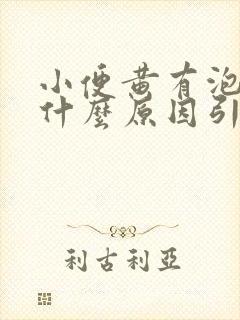 小便黄有泡沫是什么原因引起的