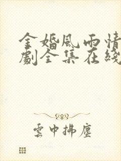 金婚风雨情电视剧全集在线观看免费