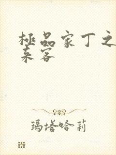 极品家丁之远方来客