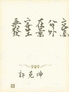 乘客在公交车内发生意外怎样赔付