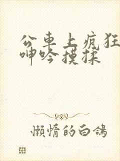 公车上疯狂高潮呻吟摸揉