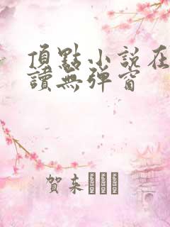 顶点小说在线阅读无弹窗