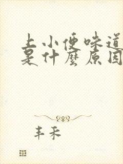 上小便味道很重是什么原因