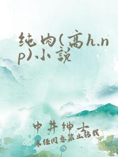 纯肉(高h.np)小说
