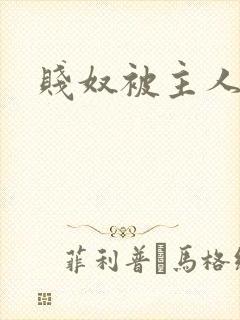 贱奴被主人调教