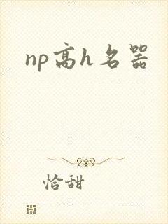 np高h名器