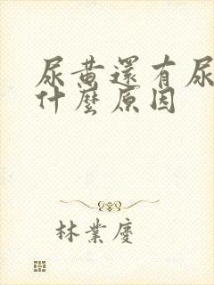尿黄还有尿骚味什么原因