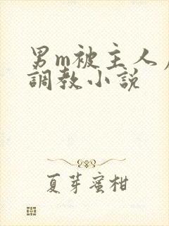 男m被主人虐玩调教小说