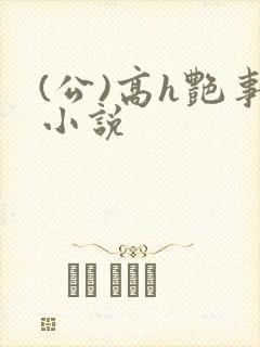 (公)高h艳事小说