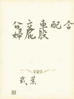 公交车配合顶少妇屁股