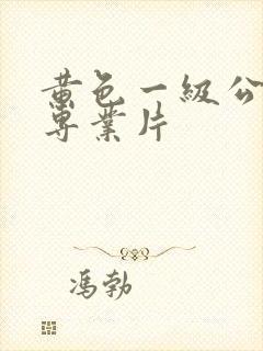 黄色一级公交车专业片
