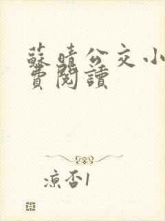苏晴公交小说免费阅读