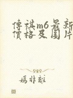 传祺m6最新款价格及图片