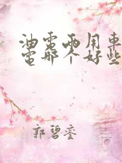 油电两用车和纯电哪个好些