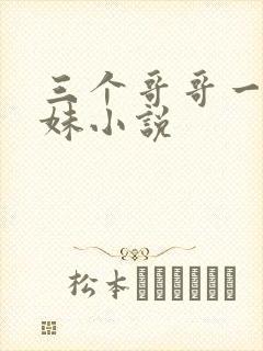 三个哥哥一个妹妹小说