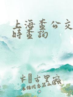 上海查公交车实时查询