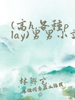 (高h,各种play)男男小说