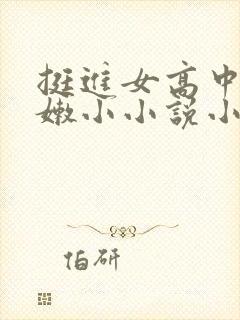 挺进女高中l粉嫩小小说小说