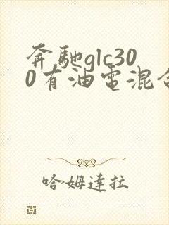 奔驰glc300有油电混合的吗