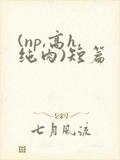 (np,高h,纯肉)短篇