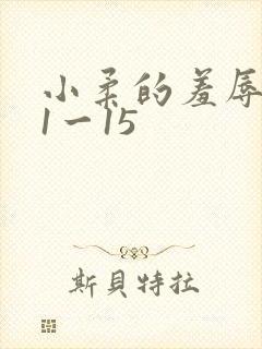 小柔的羞辱日记1一15