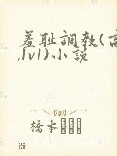 羞耻调教(高h,1v1)小说