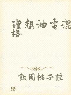 理想油电混动价格