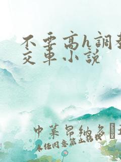 不要高h调教公交车小说