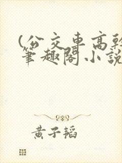 (公交车高干)笔趣阁小说
