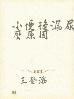 小便后漏尿是什么原因