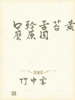 口干舌苔黄是什么原因