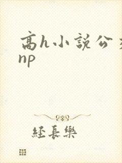 高h小说公交车np