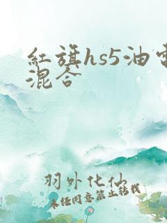 红旗hs5油电混合