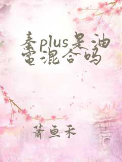 秦plus是油电混合吗