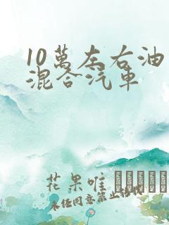 10万左右油电混合汽车