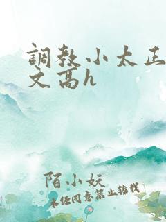 调教小太正肉车文高h