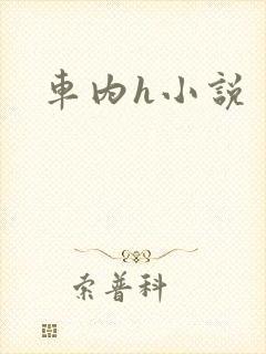 车内h小说