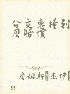 公交车撞到人怎么赔偿
