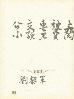 公交车被上高潮小说免费阅读
