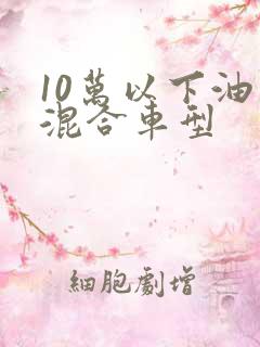 10万以下油电混合车型