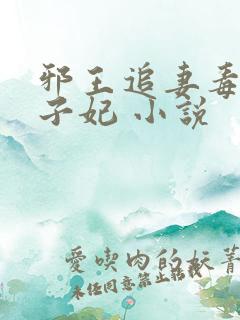 邪王追妻毒医世子妃 小说
