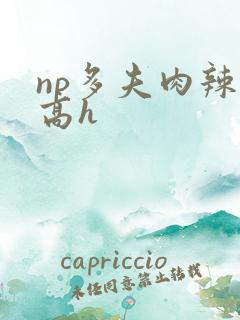 np多夫肉辣文高h