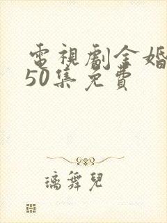电视剧金婚1一50集免费