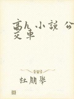 高h 小说 公交车