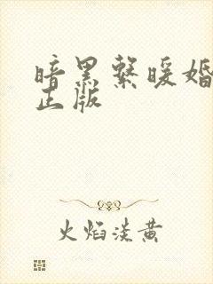 暗黑系暖婚小说正版