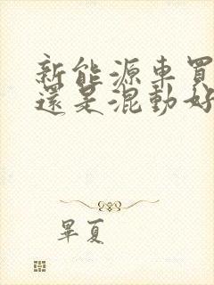 新能源车买纯电还是混动好