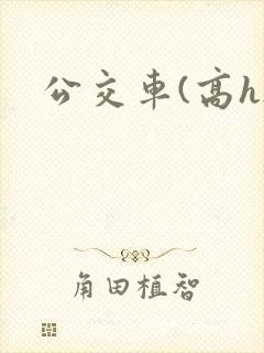 公交车(高h)