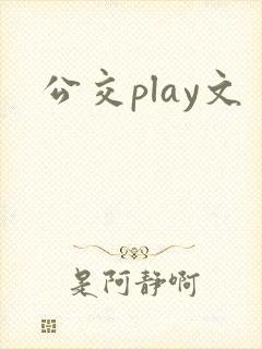 公交play文