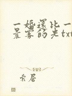 一婚还比一婚高晨雾的光txt
